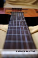 /album/galeria%20de%20fotos%3a%20exposi%c3%a7%c3%a3o%2022-07-11%20-%2013-08-11/dsc-0061-copy-jpg1/